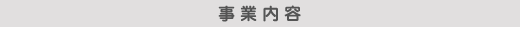 ���Ɠ��e