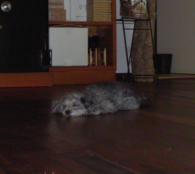 rimg0003.jpg