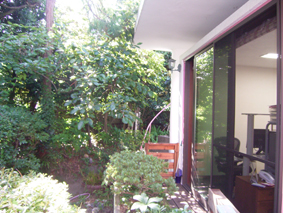 rimg0009.jpg