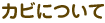 �J�r�ɂ���
