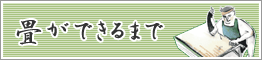 畳ができるまで