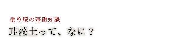 珪藻土って、なに？